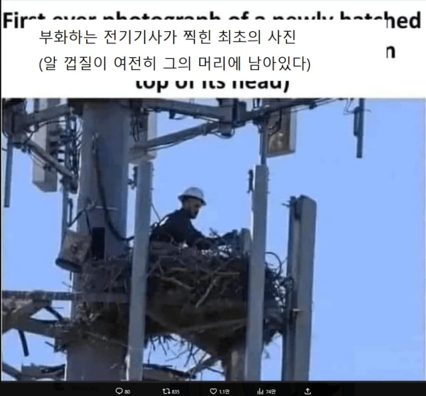 4d397ec3ab01998e7002d841888ff647_1764818760_6602.jpg